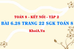 Bài 6.28 trang 22 Toán 8 Kết nối tri thức Tập 2